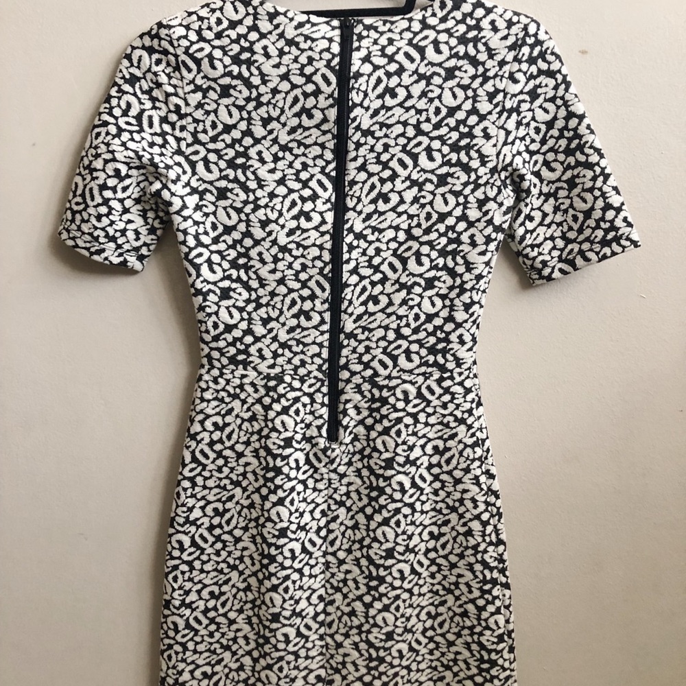 H&M Printed Sheath Dress